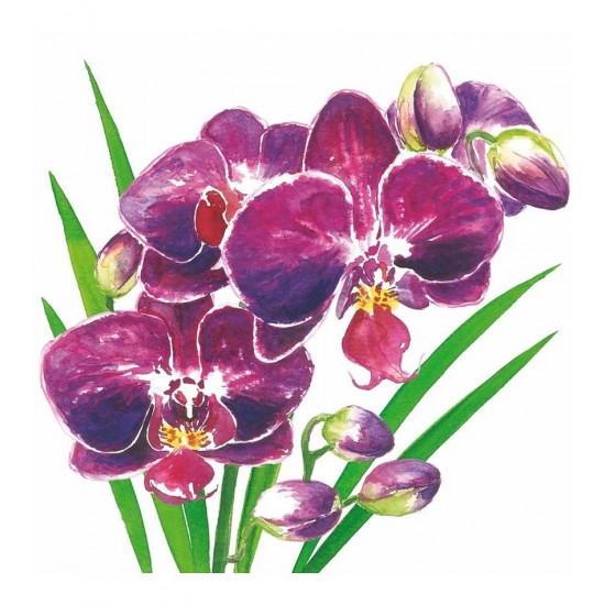 Pacote Com 20 Guardanapos De Papel 33x33cm Orchidea Napkin